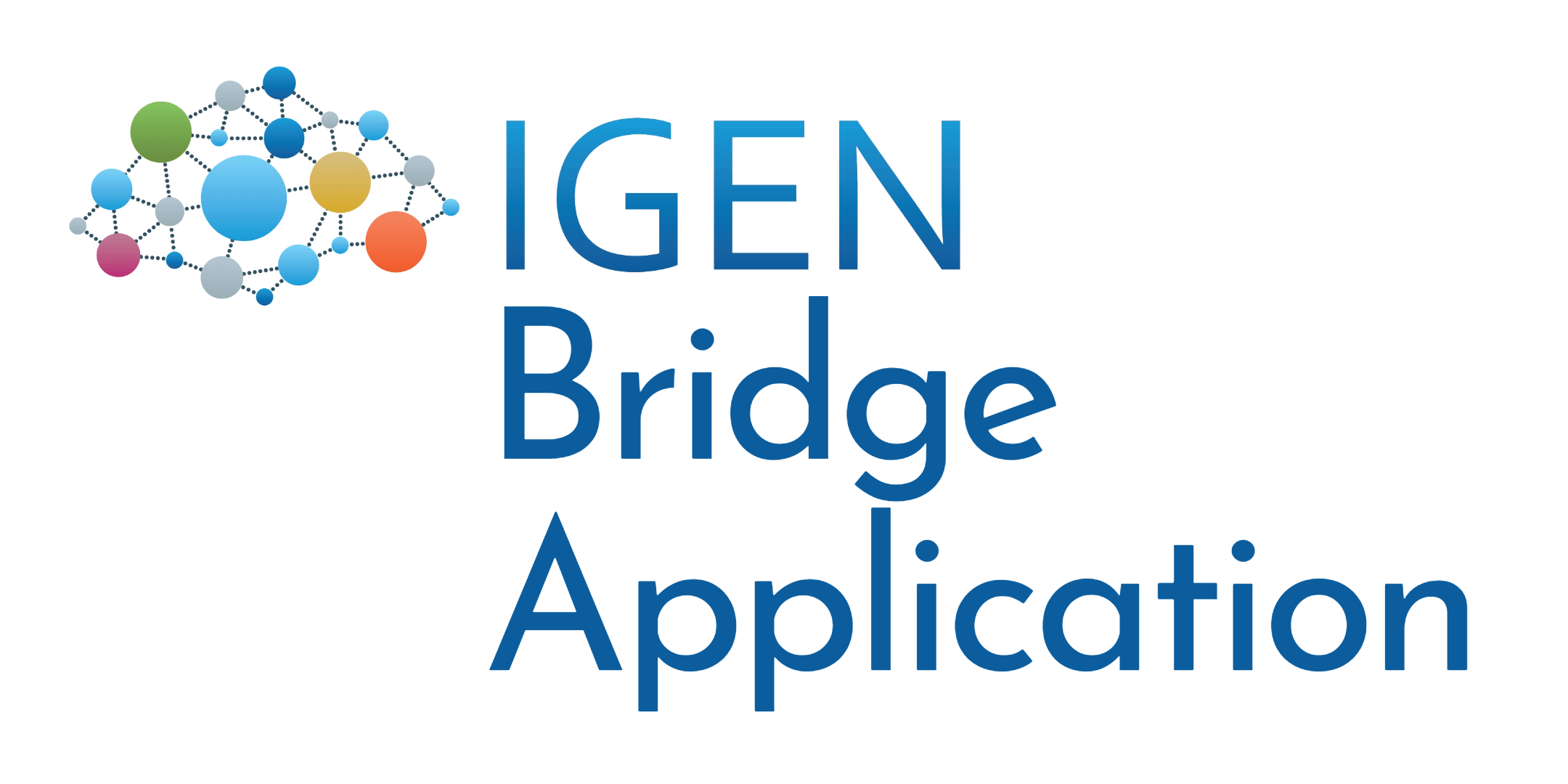 IGEN Bridge Application